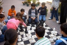 activekids victoria causeway bay kindergarten kids chess camp