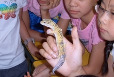 activekids victoria causeway bay kindergarten kids science adventures class 