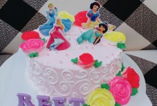 Ara Cakes Retailer Tailor Made Cakes