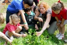 Ark Eden Lantau Island Environmental Education