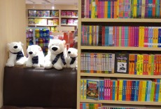 bookazine bookstore central books reading 