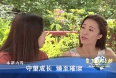 Ampla Education cctv introduction