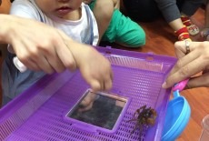 Cheerful Kids Learning Centre Kids Playgroup Class Tsuen Wan