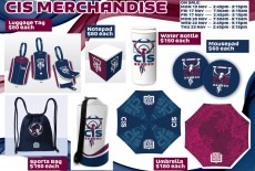 chinese international school fair bramar hill