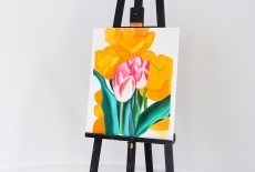 Colour My World  Art Activities Kids Teens Adults Aberdeen