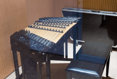 Dalton School Hong Kong School Olympic