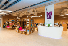 Dalton School Hong Kong School Olympic