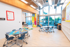 Dalton School Hong Kong School Olympic