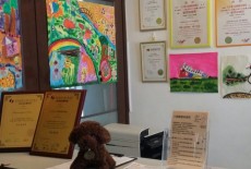 Elite Learning Learning Centre Kids Academic Class Tai Wai