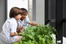 ESF Kowloon Junior School Primary Kowloon City 