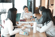 Ampla Education essay lesson