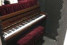 Fat Cat Music Learning Centre Kids Music Class Wan Chai