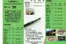 Greatness Learning Centre Learning Centre Kids Academics Class Leaflet Kwai Fong