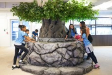 The Harbour School The Grove