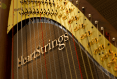 Heartstring Harp Kids Harp Class North Point