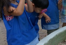 Little Dalton Kindergarten Schools Pok Fu Lam