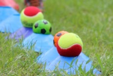 Minisport HK Learning Centre Kids Sport Class Anfield School