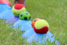 Minisport HK Pips Parkview Learning Centre Kids Sport Class Tai Tam