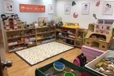 Mother duck parenting & play fortress hill