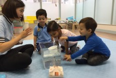 Mulberry House Kids Science Experiments Steam Central 8