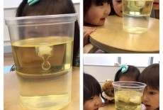 Mulberry House Kids Biology Experiments Steam Central 9