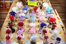 SchoolDriver Kids Retailer Hand-made Souvenirs