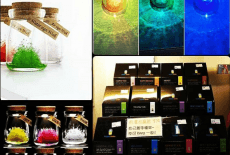 SchoolDriver Kids Retailer Hand-made Souvenirs