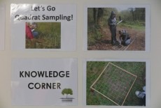 Spring Learning Wan Chai Toddlers Activities Exploring Discoverer 