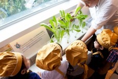 Spring Learning Wan Chai Toddlers Activities Cooking Class 2