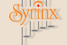 Syrinx Flute Workshop Learning Centre Kids Flute Class Causeway Bay Logo