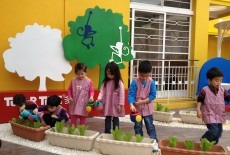 Tutor Time International Nursery and Kindergarten School Kowloon Tong