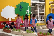 Tutor Time International Nursery and Kindergarten School Mid Level