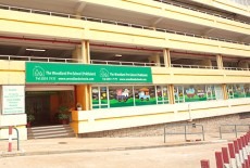 Woodland Pok Fu Lam Pre-School Kindergarten Kids Playground Class Pok Fu Lam